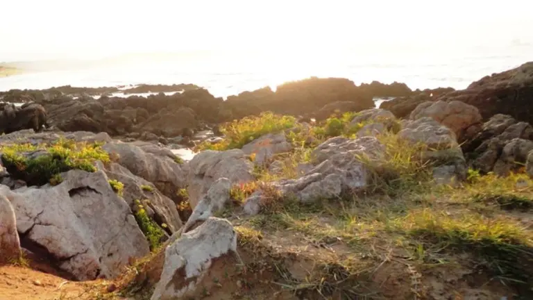 El accidente sucedió en Liencres, en Piélagos.
