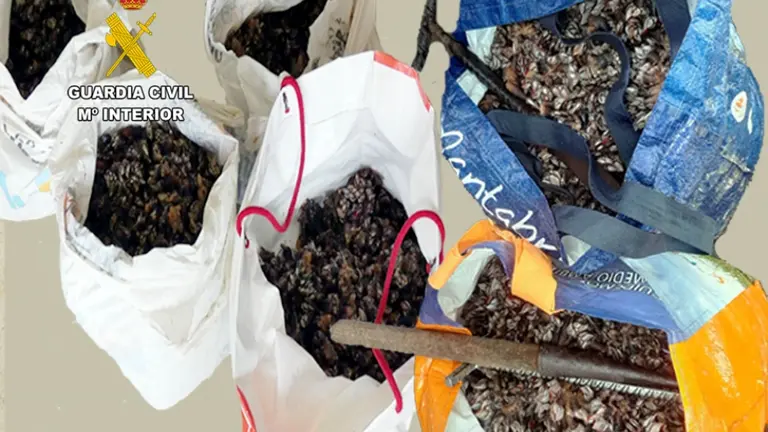 percebes suances y oreña