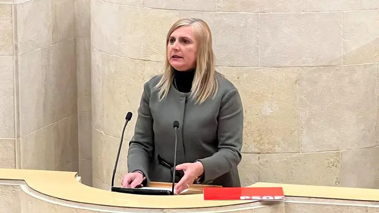 La diputada regional, Noelia Cobo, en el Parlamento.