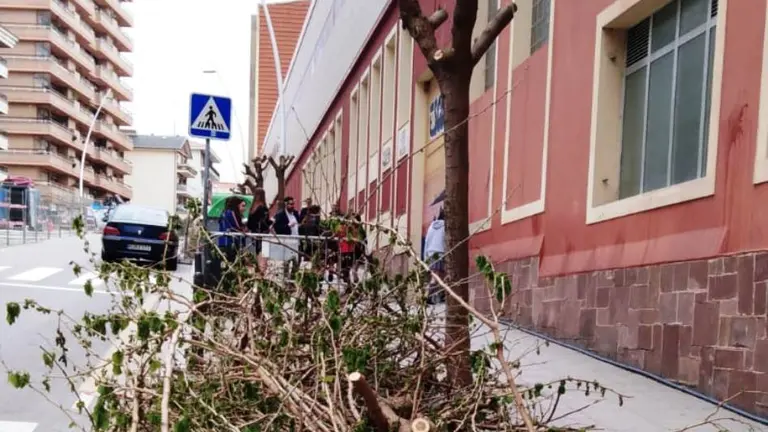 Zona donde se ha llevado a cabo el arboricidio en Santander.