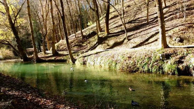 Hermandad de Campoo de Suso.