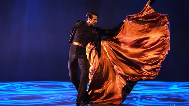 La danza ser&aacute; protagonista en el FIS.