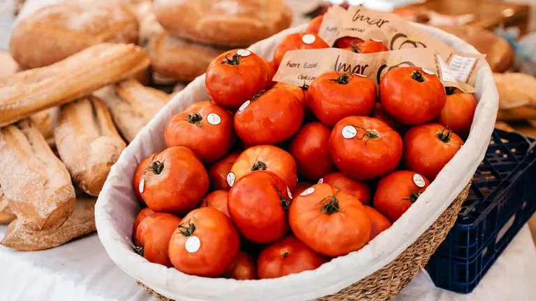 Diferentes tipos de tomate ser&aacute;n protagonistas en Bezana.