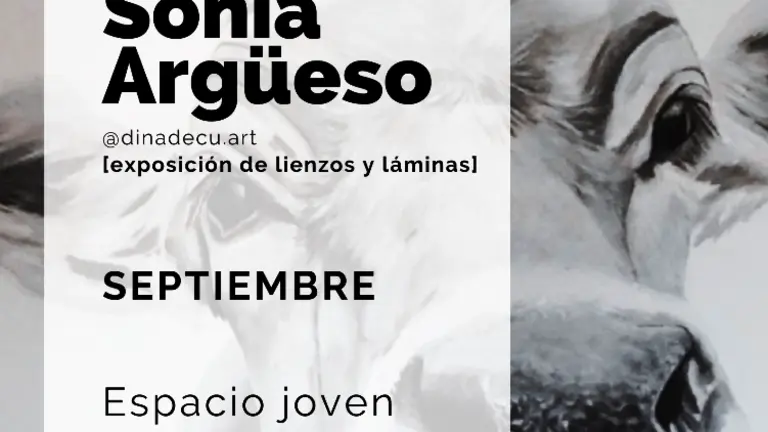 Cartel de la exposici&oacute;n de Santander.