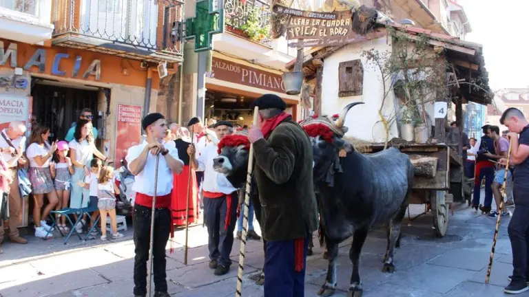 Carreta ganadora en el a&ntilde;o 2023.
