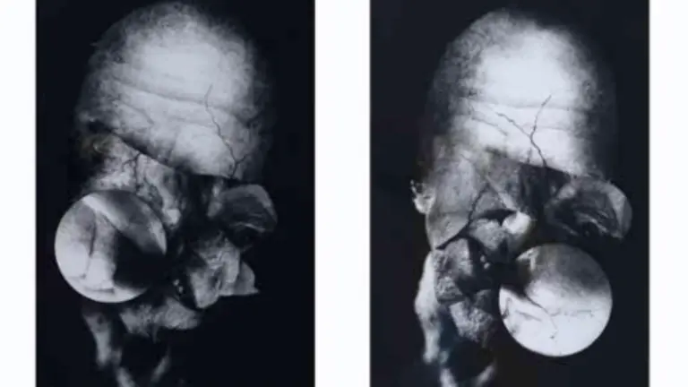 Obra de Faustino Cuevas.