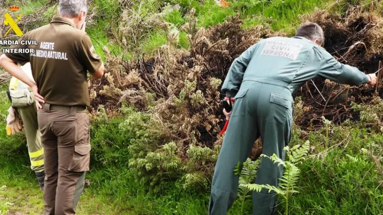 Detenidas dos personas como presuntos autores de los incendios en Cantabria.