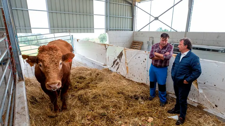 El consejero de Desarrollo Rural, Ganadería, Pesca y Alimentación, Pablo Palencia, visita la explotación ganadera 'Los Llanos', afectada por la enfermedad hemorrágica epizoótica.