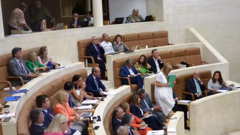 mini_Parlamento Pleno 82