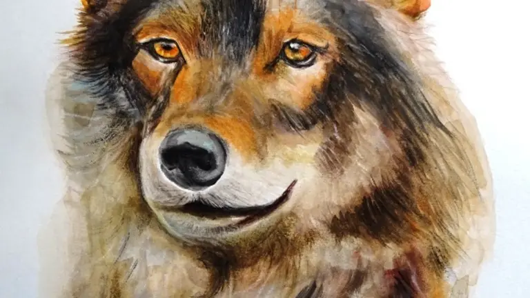 Obra de Sonia Arq&uuml;eso.