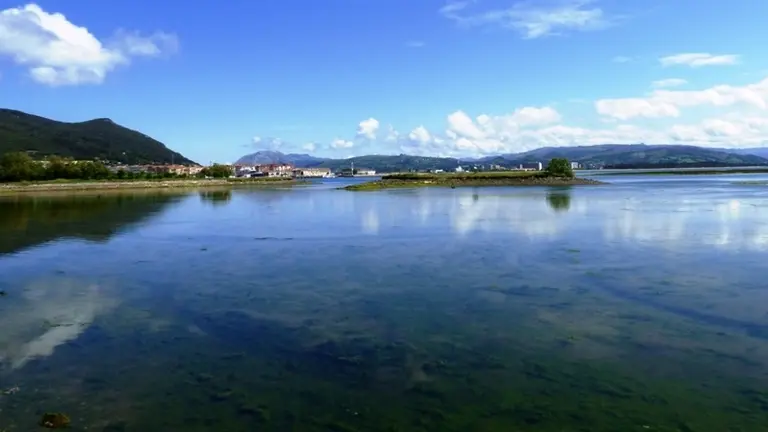 Marismas de Santoña. R.A.