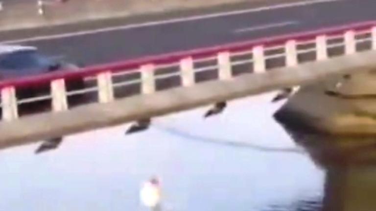 Salto del joven a la ría del Asón.