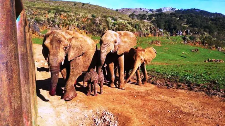Parque de la Naturaleza de Cabárceno.