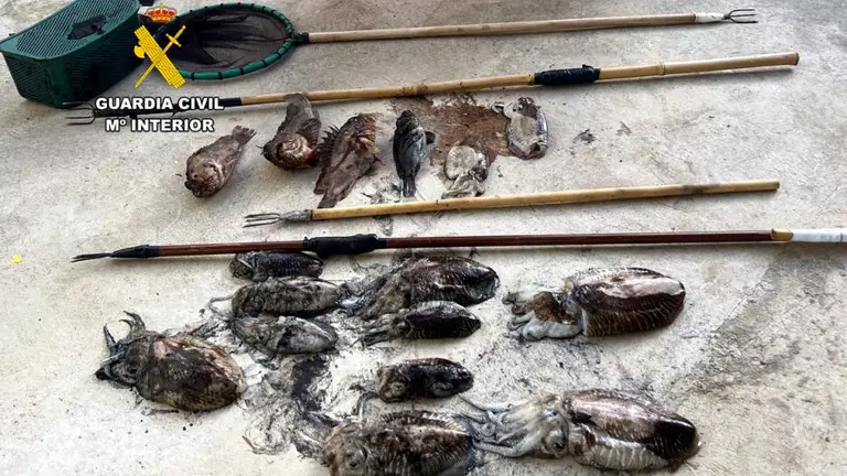 Material incautado a los furtivos en Noja.