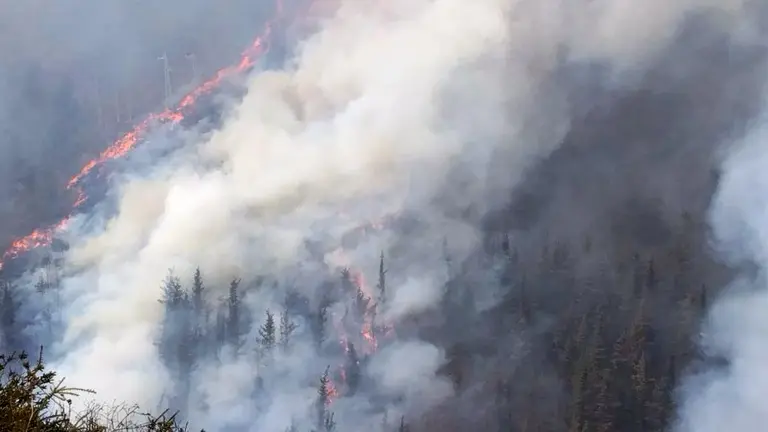 06/04/2024 Incendio forestal en Cantabria.

En estos momentos, Cantabria registra 19 incendios forestales, de los que 17 estÃ¡n activos y dos controlados, mientras que uno de ellos ha afectado al camping de SopeÃ±a (CabuÃ©rniga) y ha quemado una zona de almacenaje, varios vehÃ­culos y diversos materiales.

ESPAÃ‘A EUROPA CANTABRIA SALUD SOCIEDAD
112