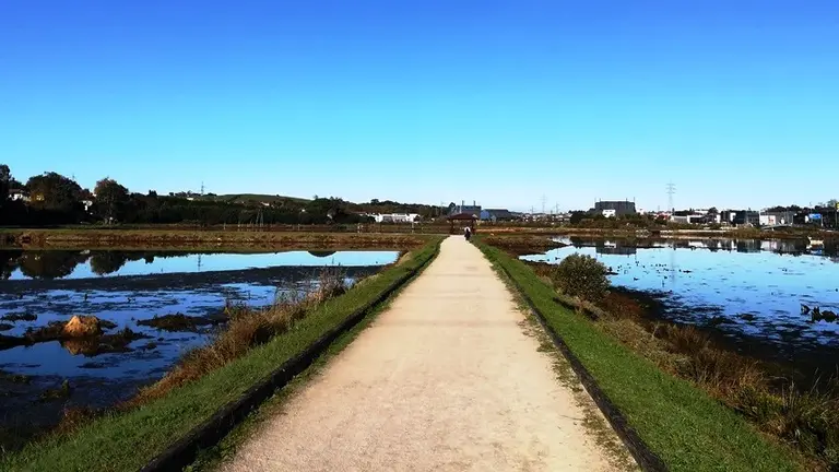 Zona de las Marismas en El Astillero. R.A.