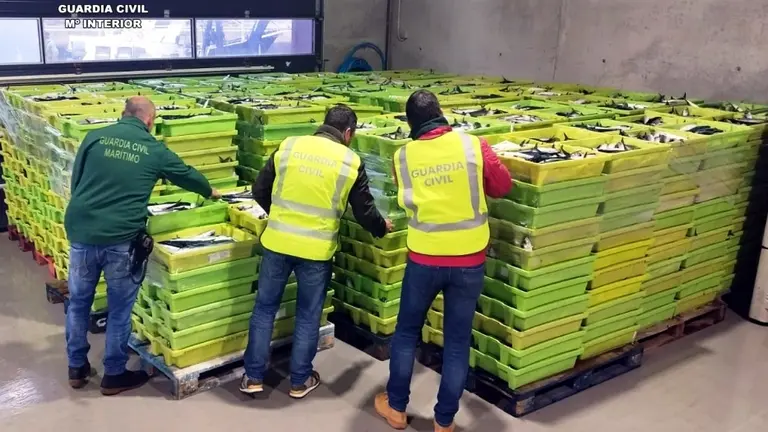 Cajas de caballa interceptada en Laredo.