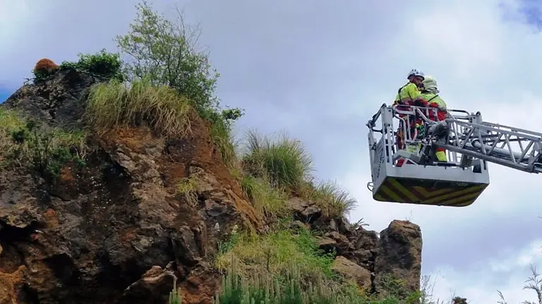 Rescate del oso joven en Cab&aacute;rceno.