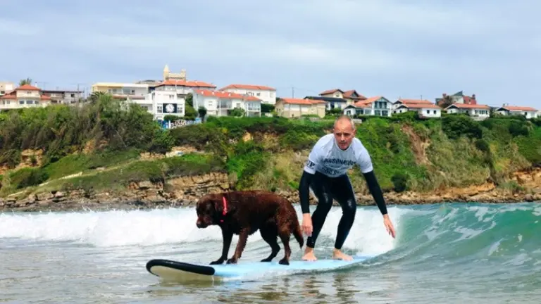 Diversidad de participantes en el Campeonato.