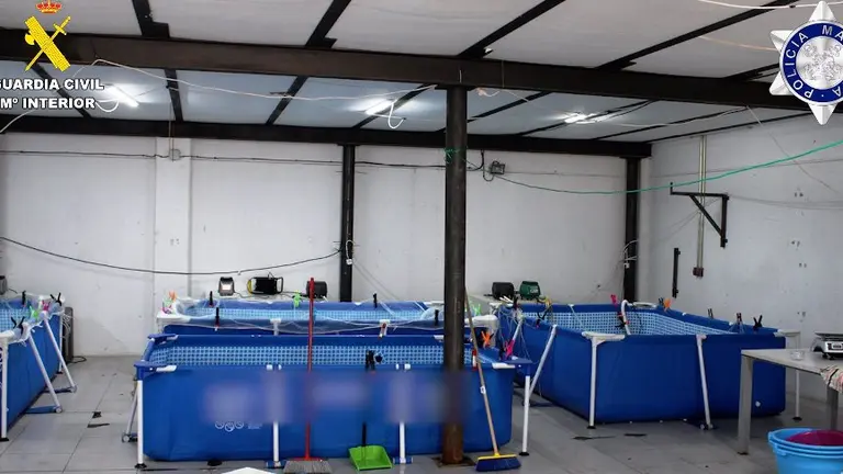 Operación 'Olissipo'.