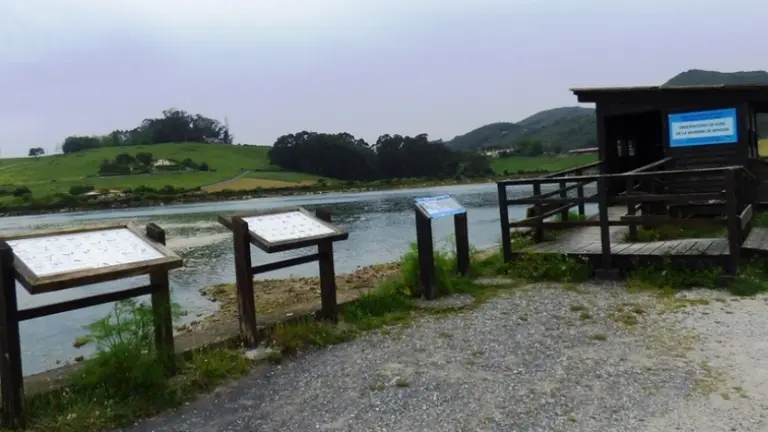 Marismas de Santoña. R.A.