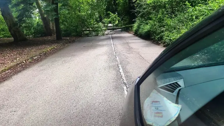 Parque de La Viesca.