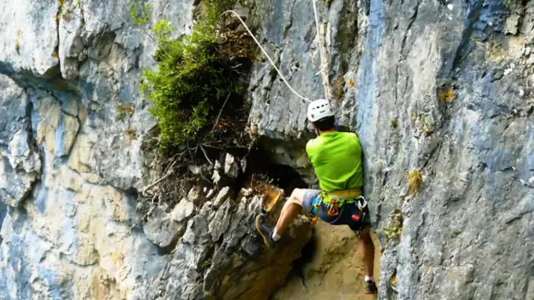 Roca en el Faro del Caballo.