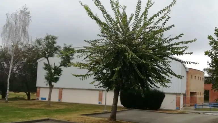 Polideportivo de Entrambasaguas. R.A.