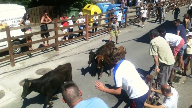 Los asistentes disfrutar&aacute;n de los encierros.