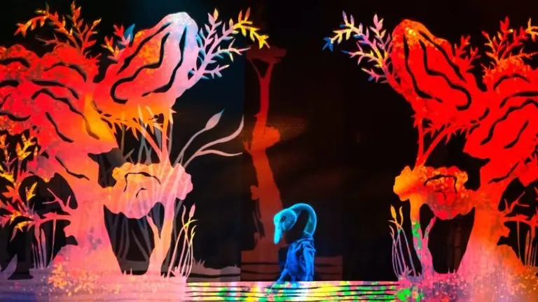 'El Patito feo' de Andersen.