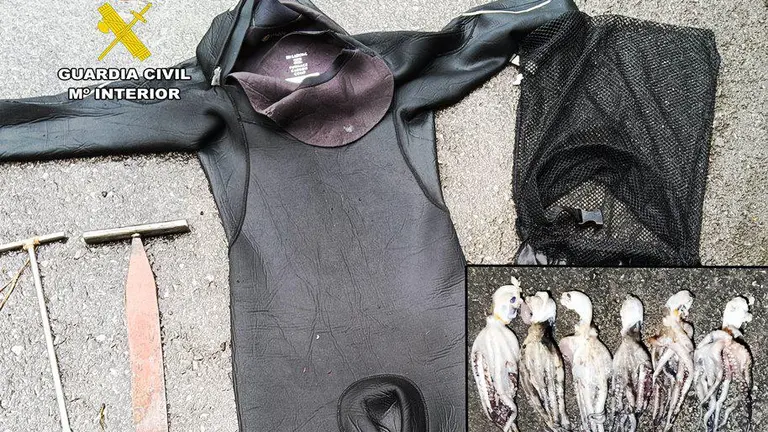 Pesca intervenida por la Guardia Civil.