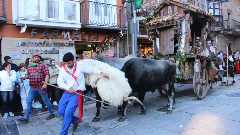 Carreta ganadora del D&iacute;a de Campoo.