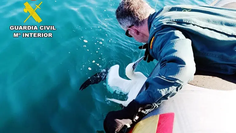 Alcatraz en el momento del rescate.