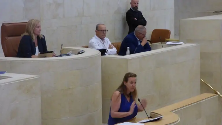 La diputada de Vox, Leticia Díaz. R.A.