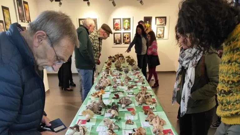 Jornadas Mic&oacute;logicas en Colindres.