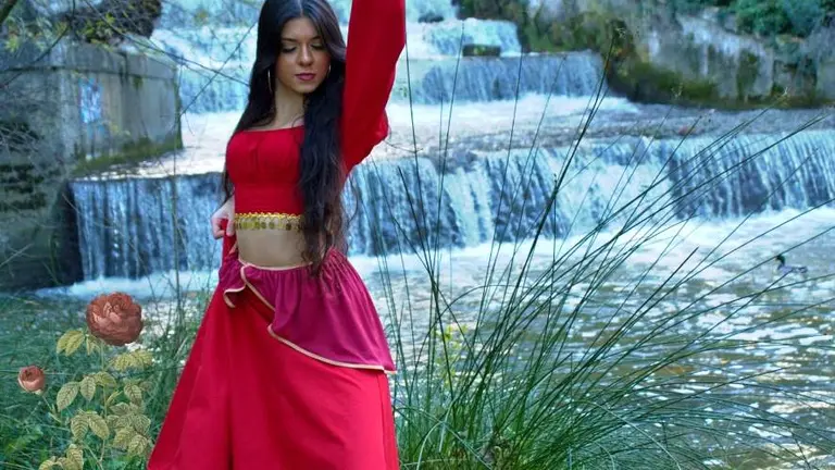 Cartel del D&iacute;a Flamenco.