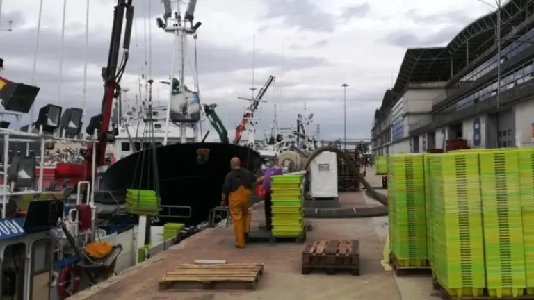 Puerto pesquero de Santoña. R.A.