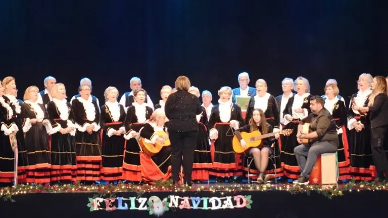 Festival de Villancicos en Pi&eacute;lagos, P&aacute;gina web del Ayuntamiento