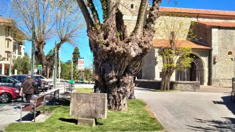 Municipio de Noja. R.A.