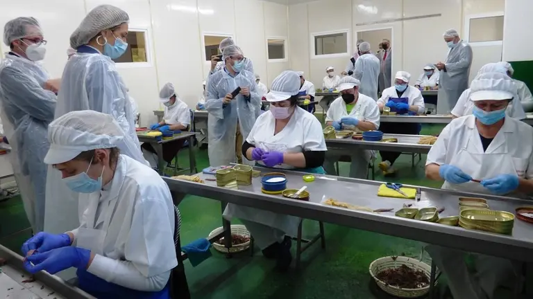 Trabajadoras en una conservera en Santoña. R.A.
