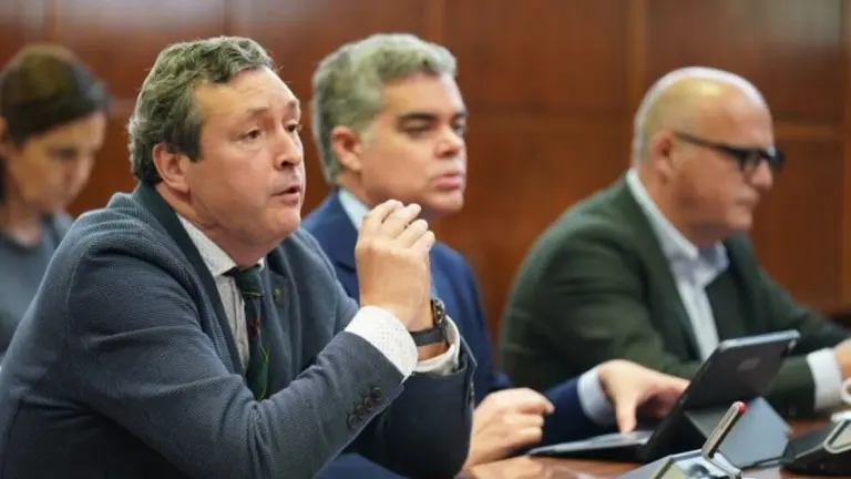 El senador por el PP, Iñigo Fernández.