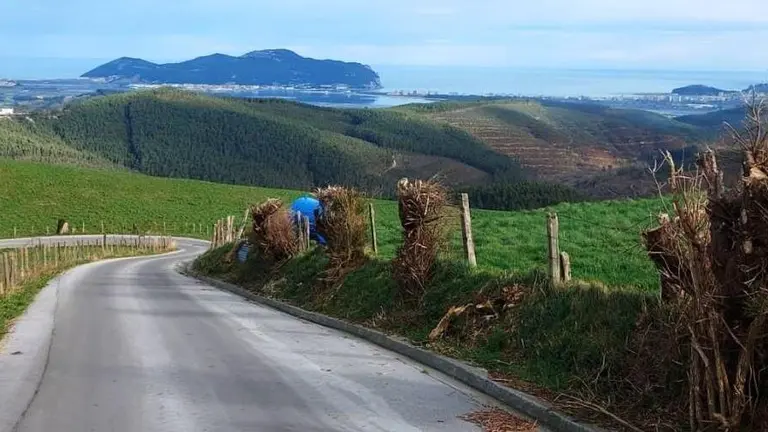 Zona de Vidular en B&aacute;rcena Cicero.