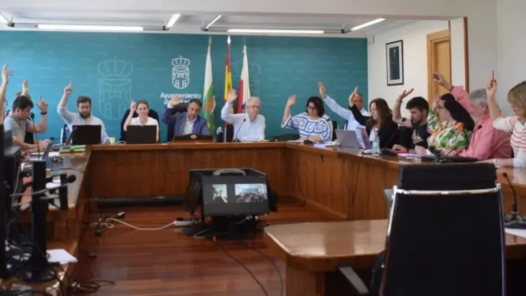 Un momento de la sesión plenaria en Piélagos.