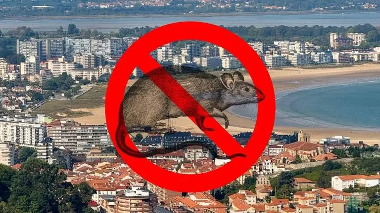 Municipio de Laredo.