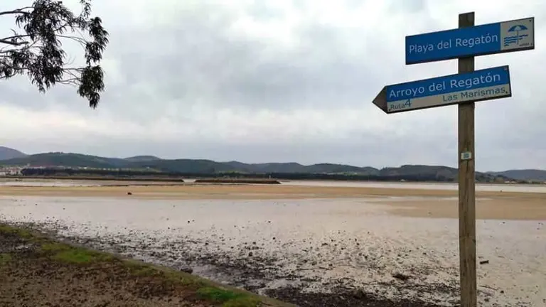 El Regatón en Laredo.