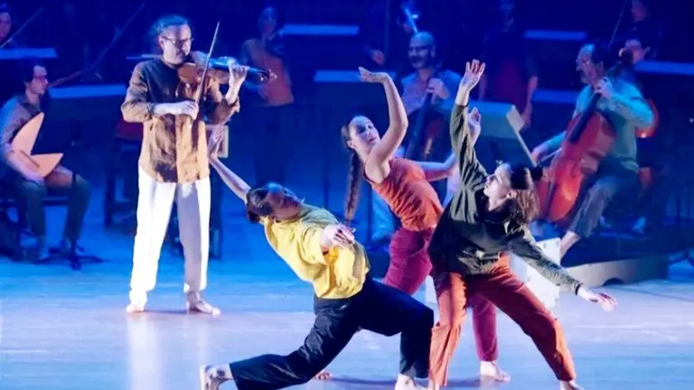 Programaci&oacute;n del FIS.