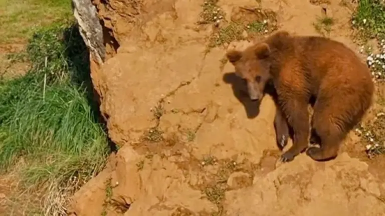 Parque de Cabárceno, dependiente de Cantur.