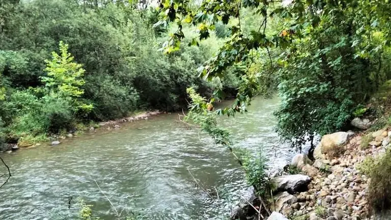 Municipio de Ruesga. R.A.