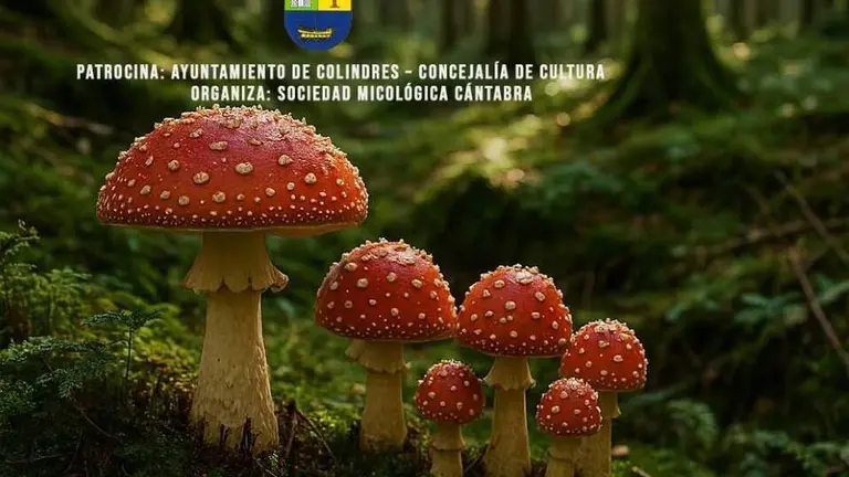 Jornadas Micológicas en Colindres.