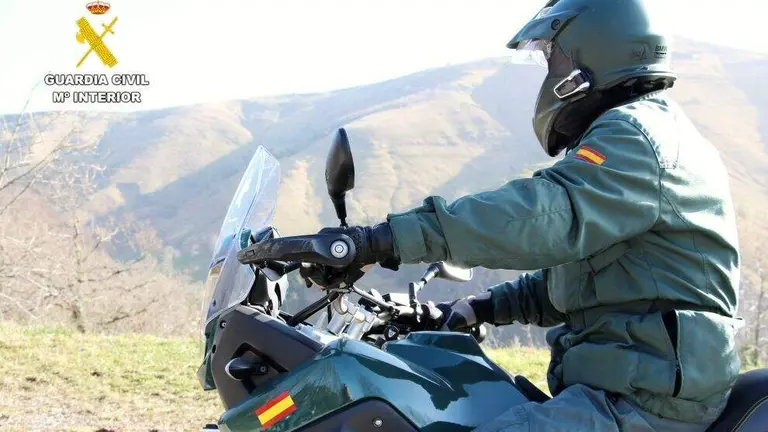 Agentes del Seprona.